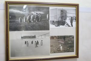 У Музеї історії ХНУРЕ присвятили експозицію кафедрі РТІКС