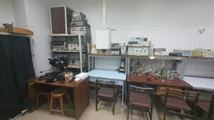 Науково-дослідна лабораторія наноелектроніки та нанотехнологій