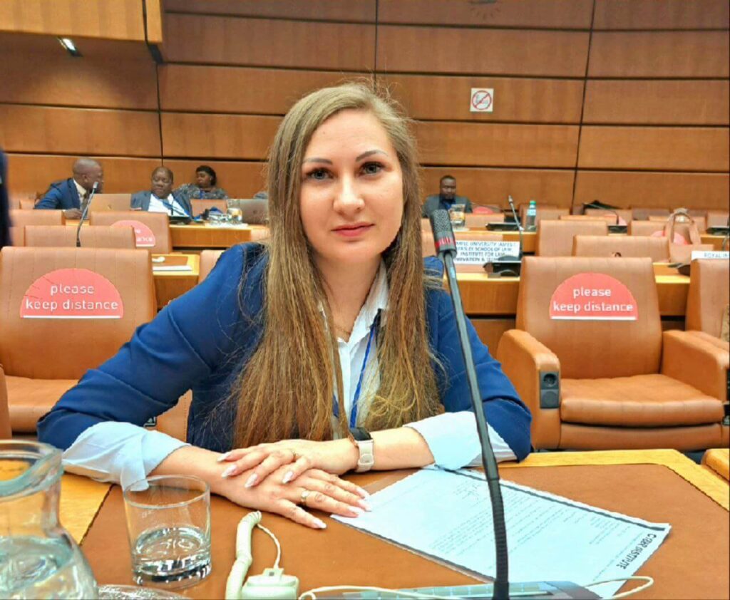 Professor of the V.V. Popovskyy ICE Department, participated in a meeting of the United Nations Ad Hoc Committee