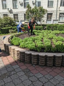 Ukrainian hope blooms among ruins: fir trees planted at NURE on Earth Day