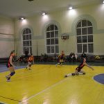 Sports Section «Volleyball»