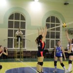 Sports Section «Volleyball»