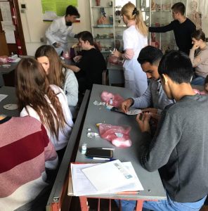 Фахівці служби крові проводять заняття для студентів кафедри БМІ