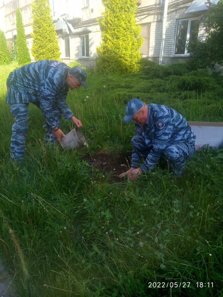 Trees and flowers were planted in NURE